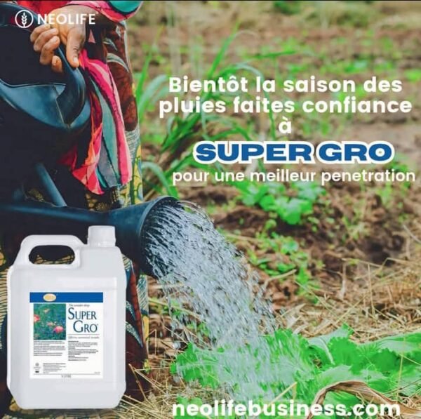 IMG-20250405-WA0176 Engrais Super Gro 100% naturel: 200% à la récolte