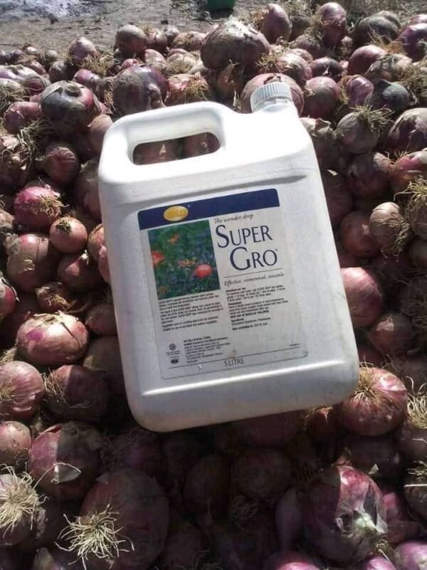 IMG-20250405-WA0185 Engrais Super Gro 100% naturel: 200% à la récolte
